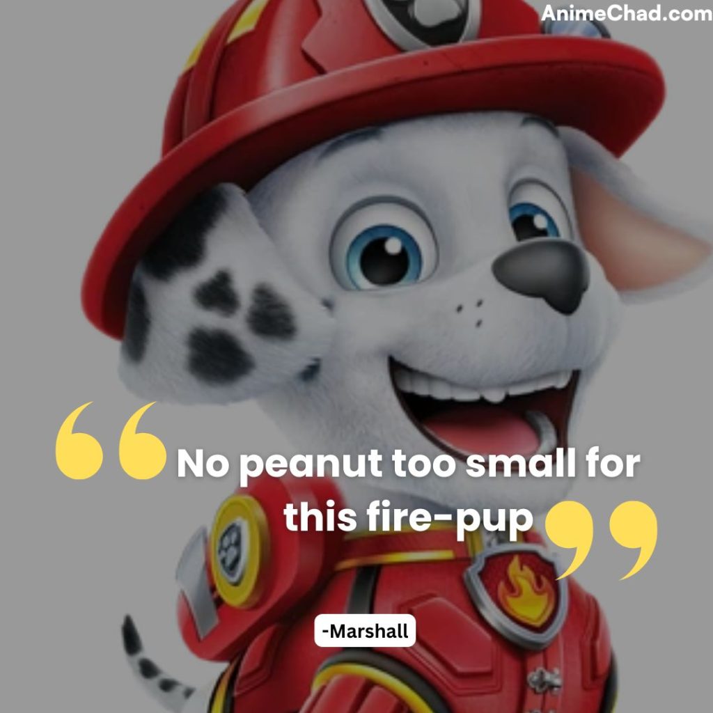 Marshall Quotes (1)