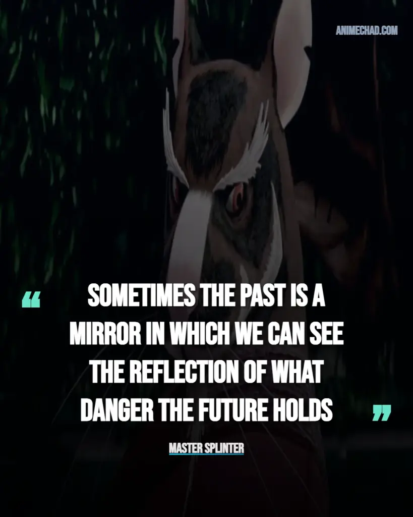 Master Splinter Quotes (10)