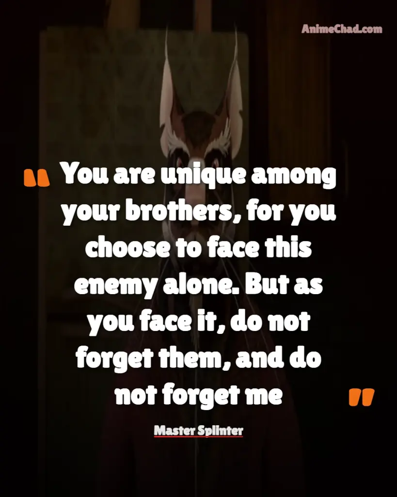 Master Splinter Quotes (3)