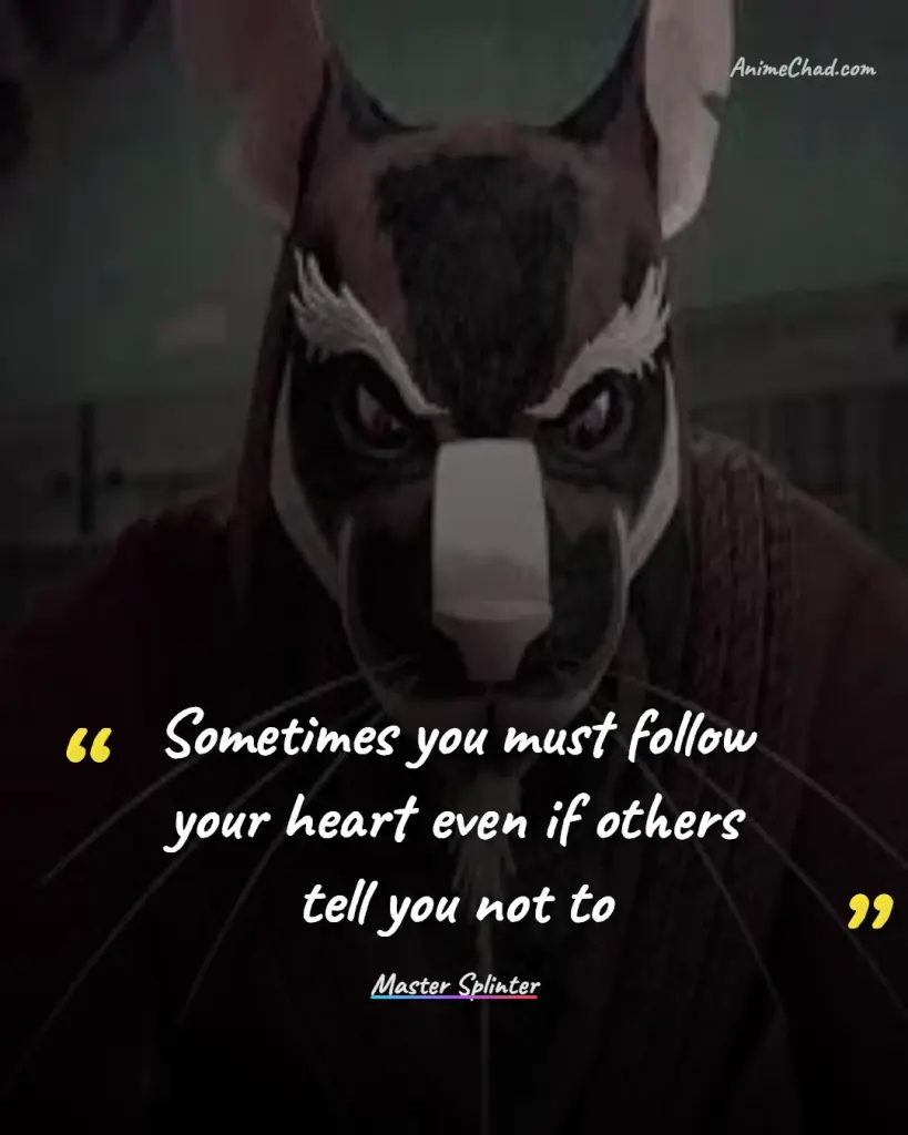 Master Splinter Quotes (4)