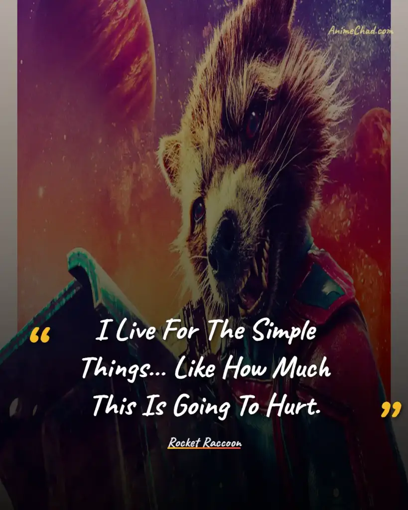 Rocket Raccoon Quotes (1)