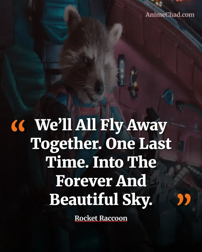 Rocket Raccoon Quotes (3)