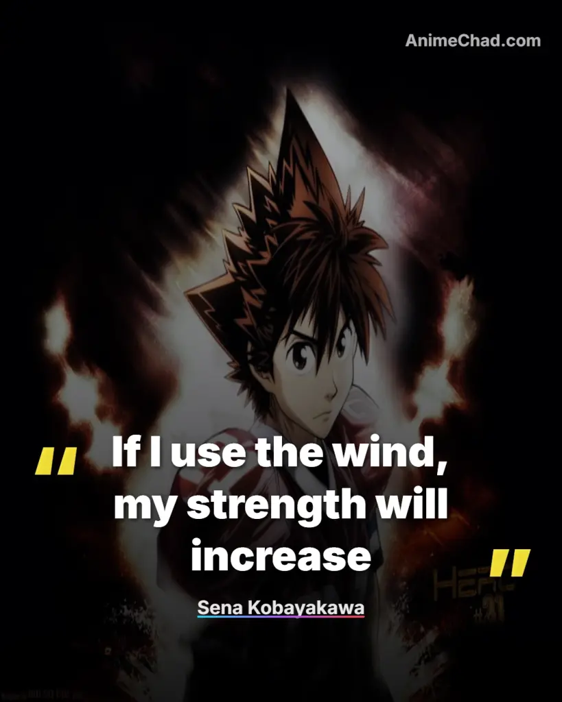 Sena Kobayakawa Quotes (13)
