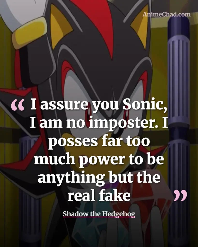 Shadow The Hedgehog Quotes (2)