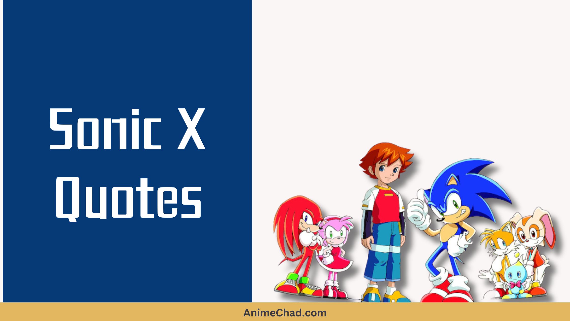 Sonic X Quotes (1)