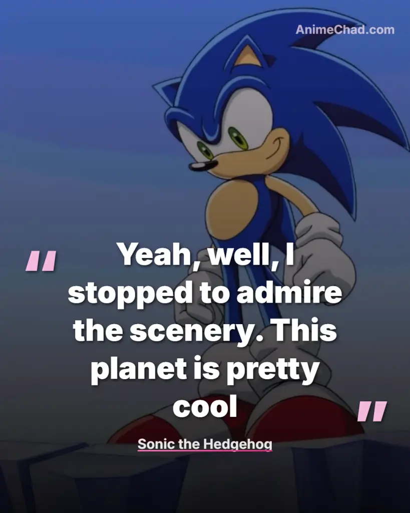Sonic The Hedgehog Quotes