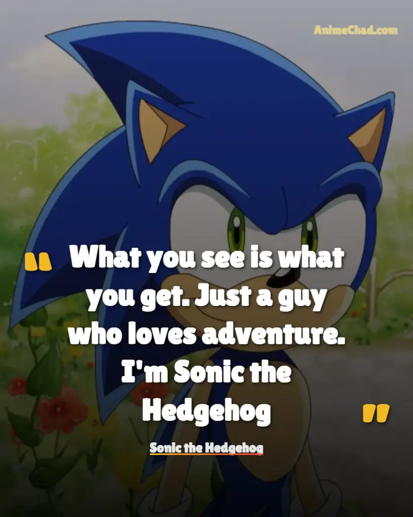 Sonic The Hedgehog Quotes (4)
