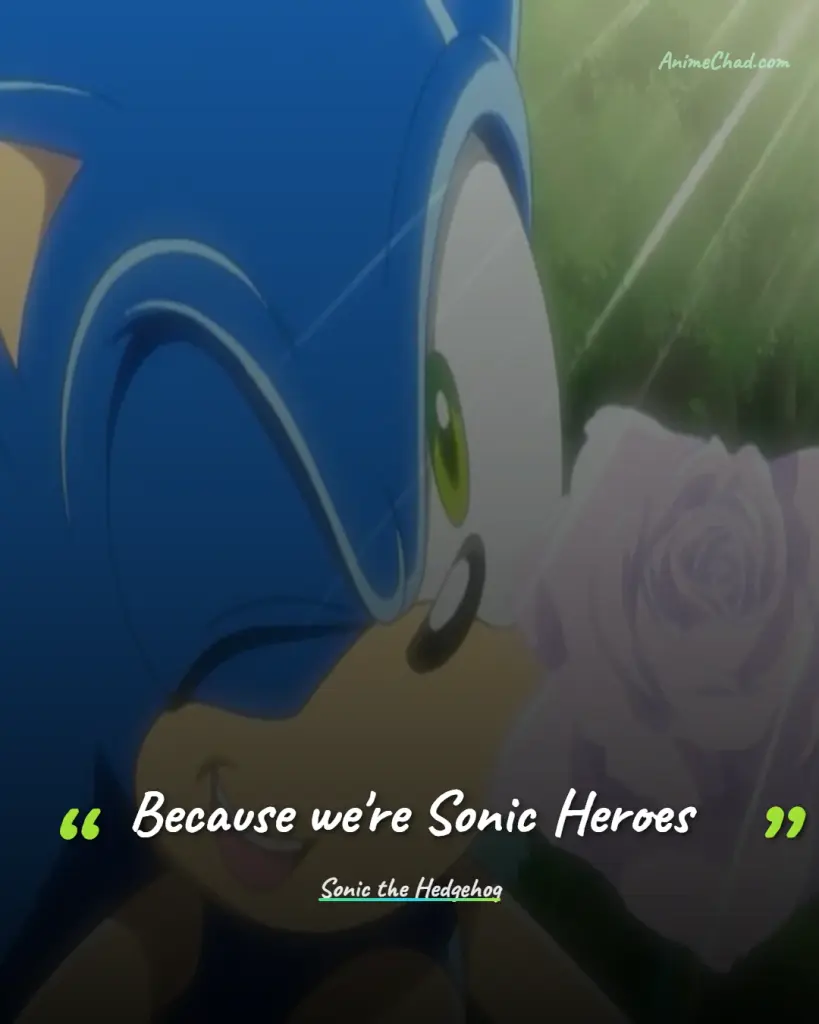 Sonic The Hedgehog Quotes (5)