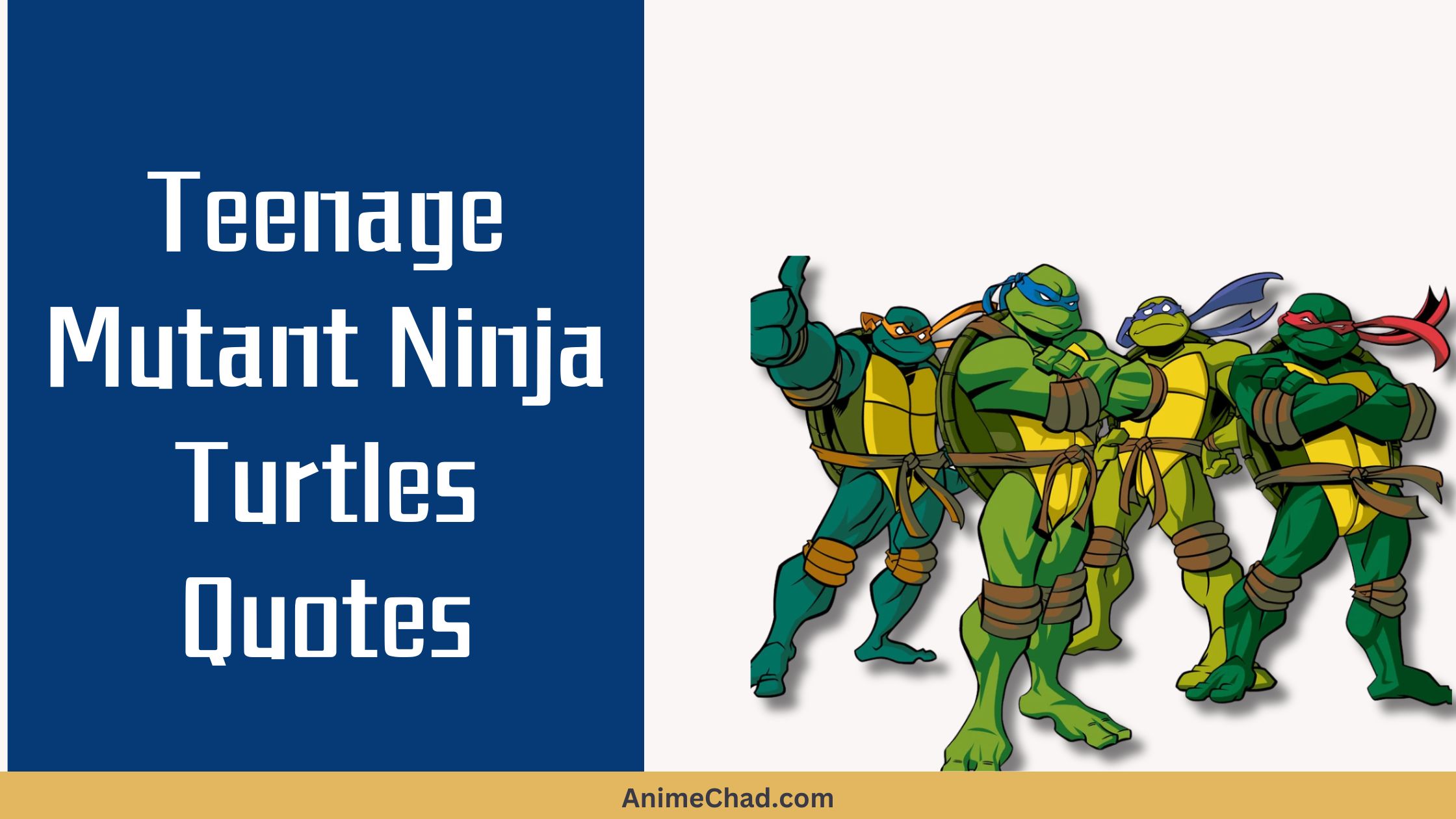 Teenage Mutant Ninja Turtles Quotes