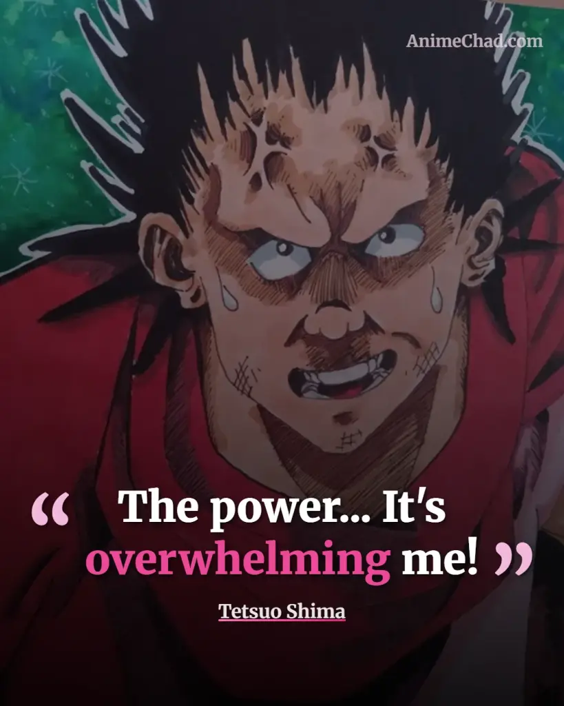 Tetsuo Shima Quotes (4)