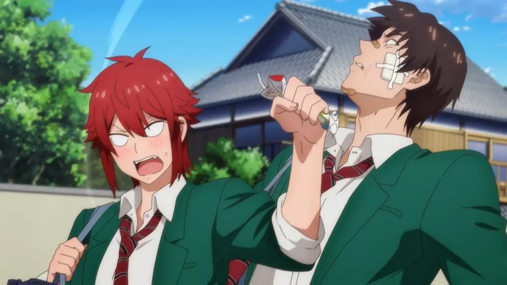 Tomo Chan Is A Girl!