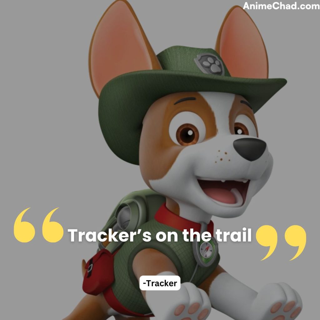 Tracker Quotes