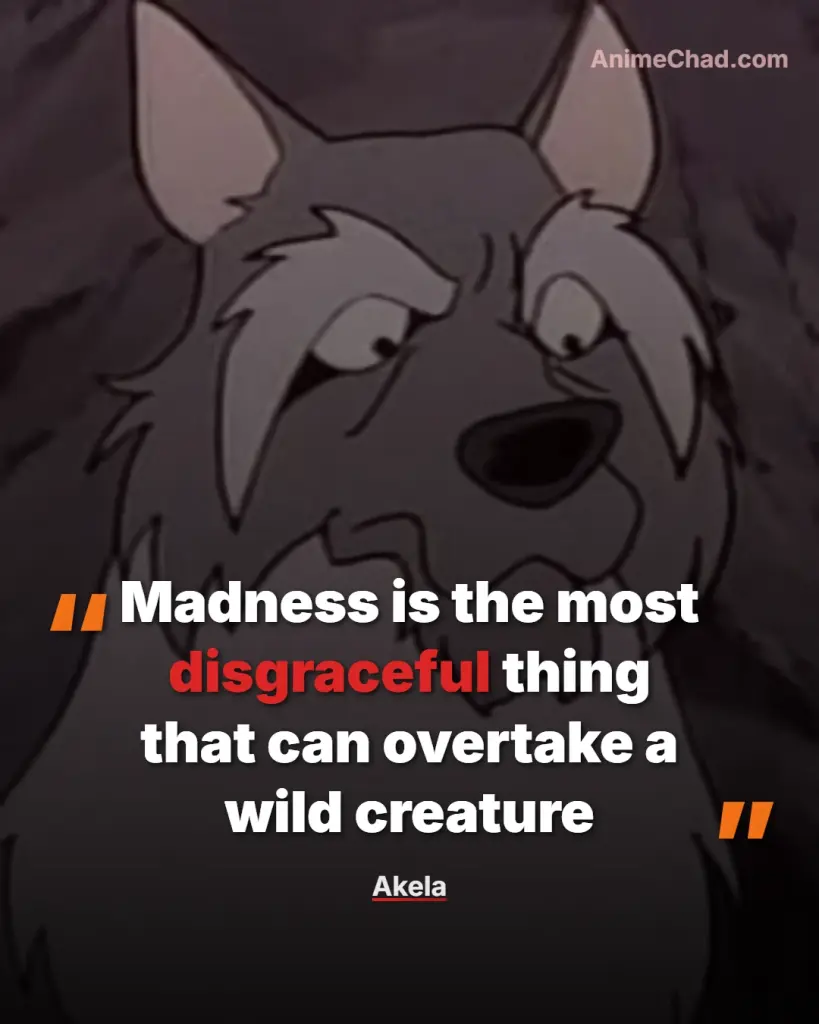 Akela Quotes (2)