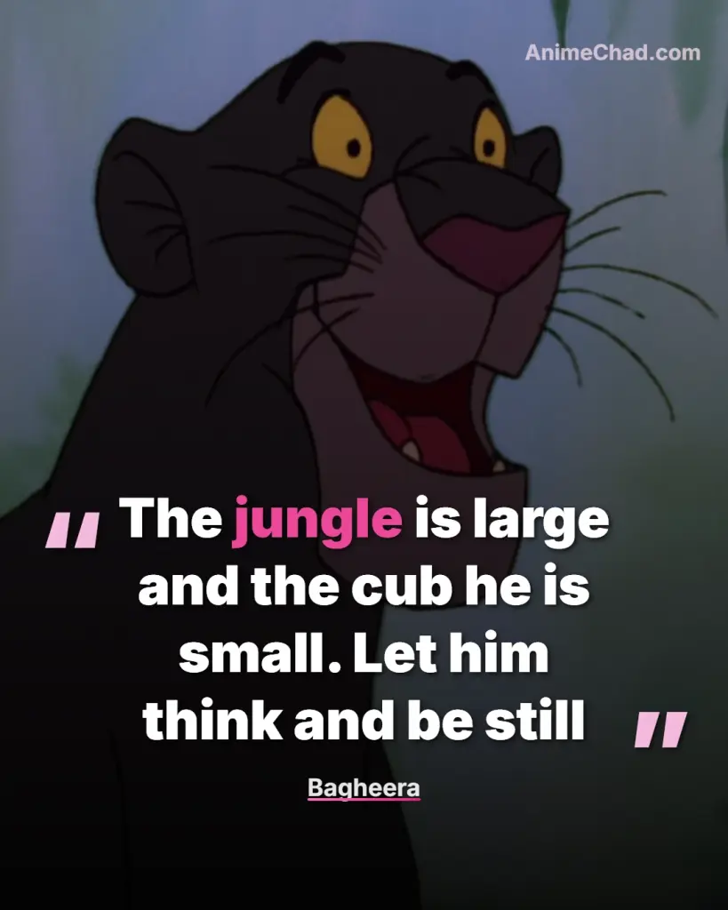 Bagheera Quotes