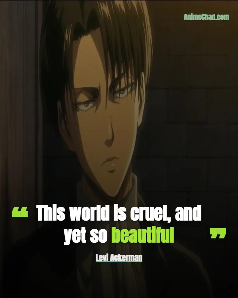 Levi Ackerman Quotes