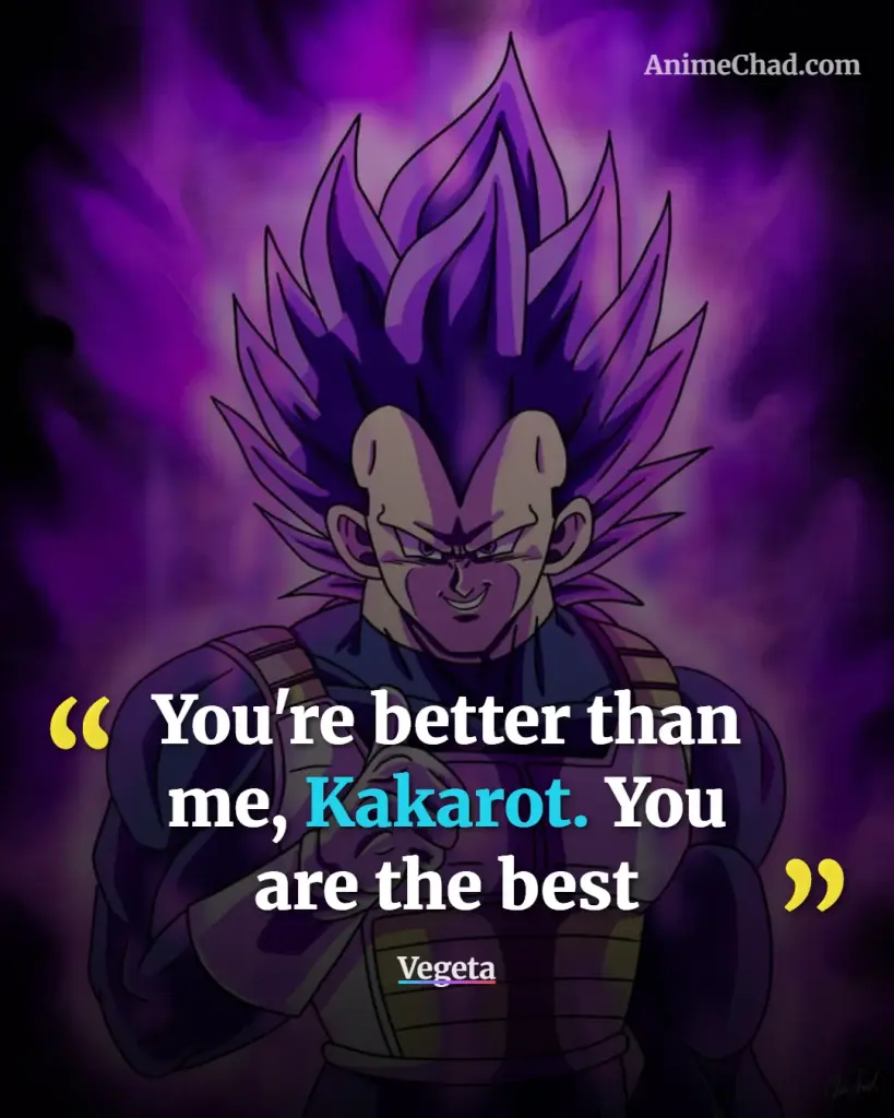 Vegeta Quotes (3)