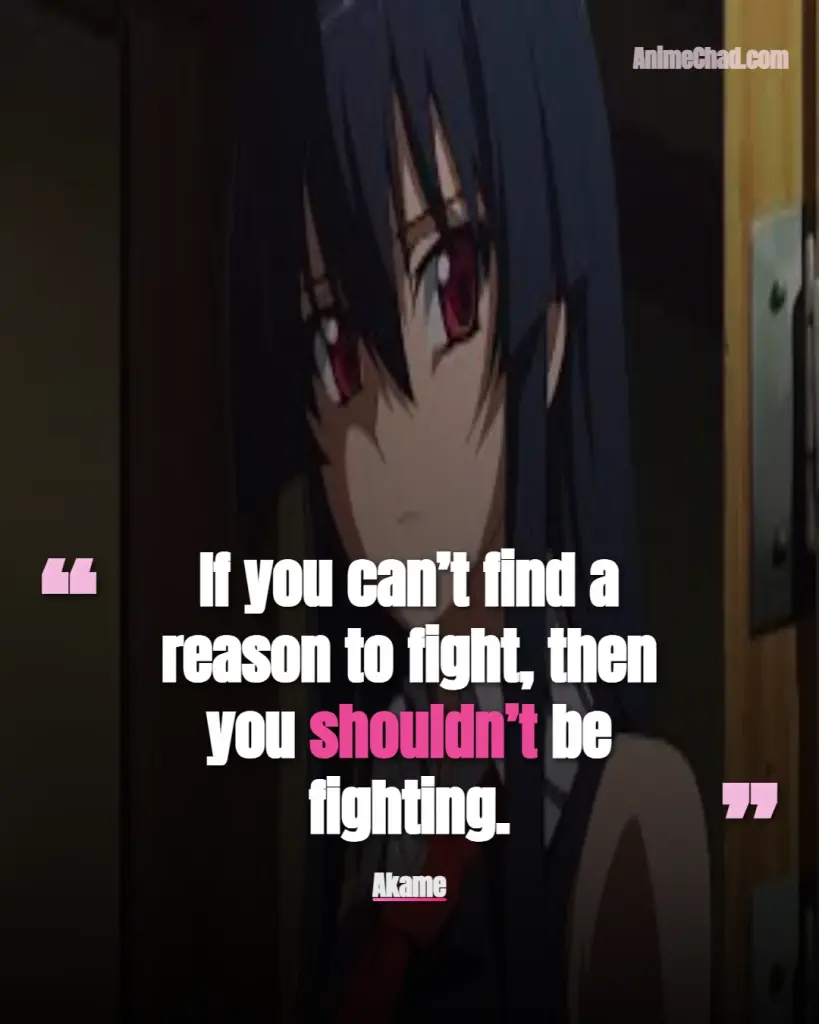 Akame Quotes (1)
