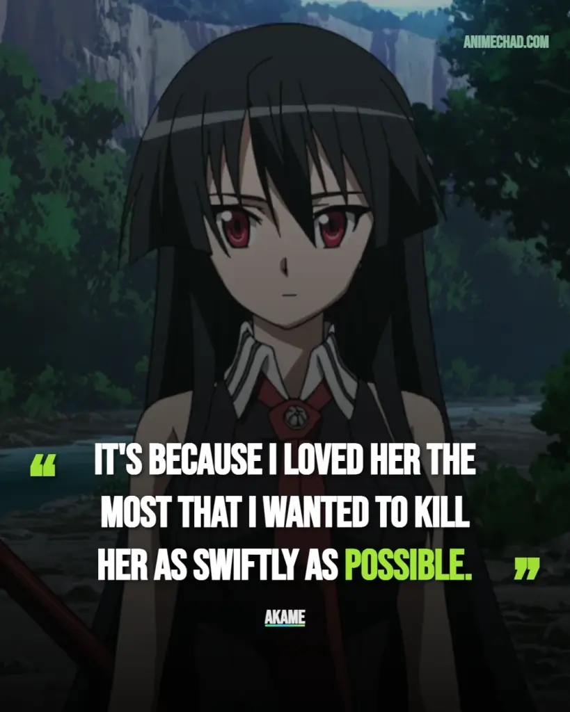 Akame Quotes