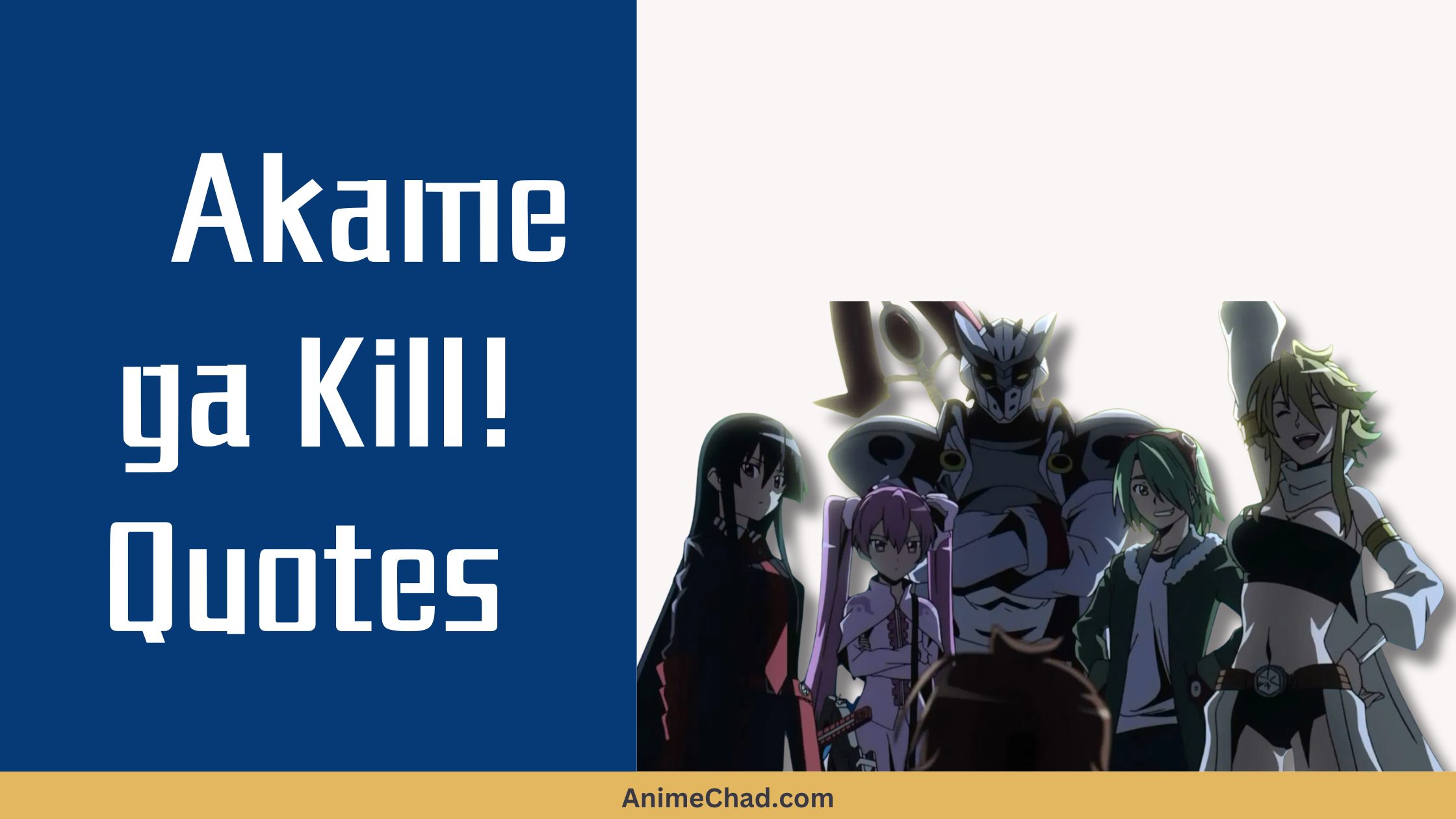 Akame Ga Kill! Quotes