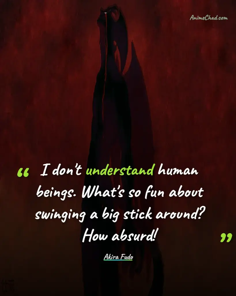 Akira Fudo Quotes (5)