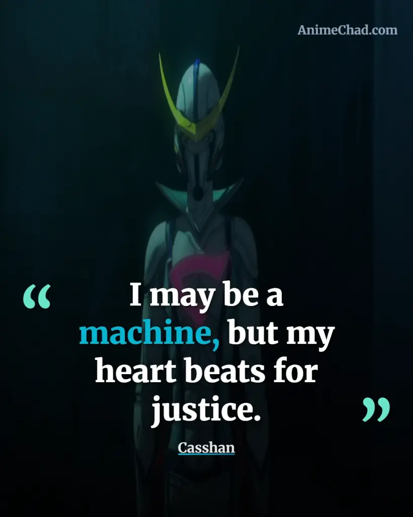 Casshan Quotes