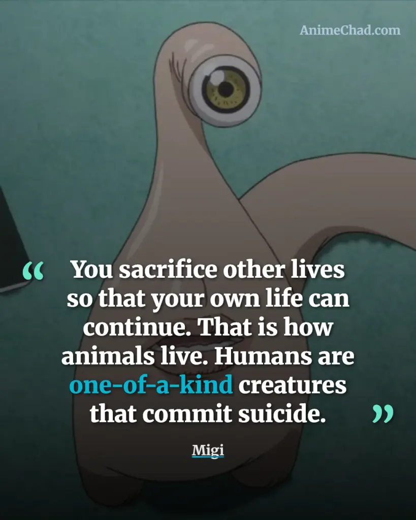 Migi Quotes (1)