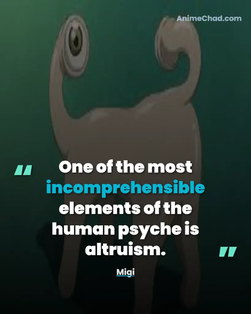 Migi Quotes (3)