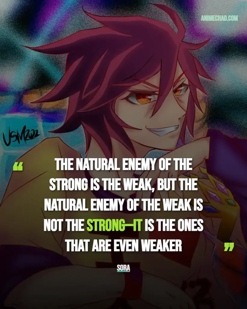 Sora Quotes (7)