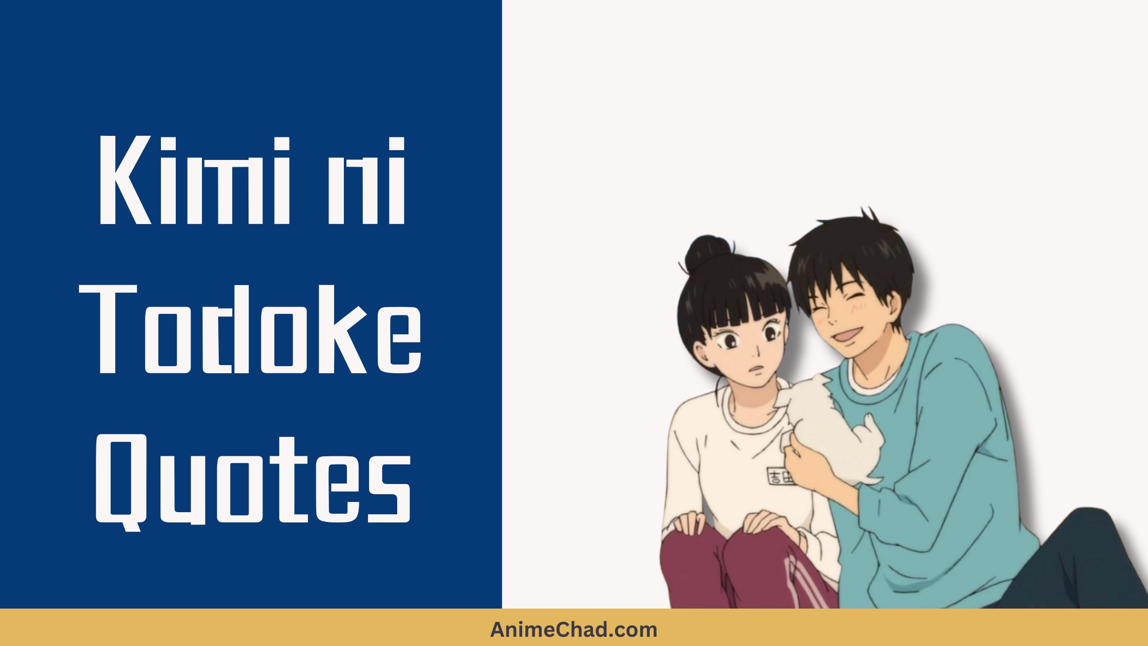 Kimi Ni Todoke Quotes