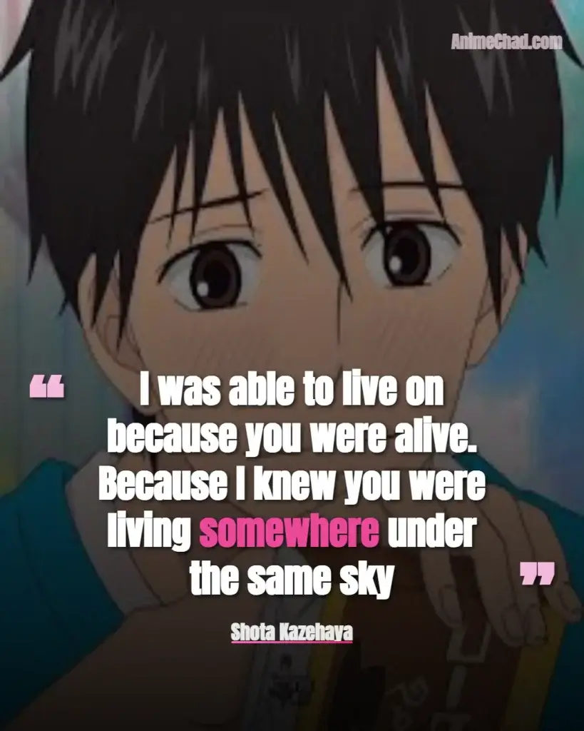 Shota Kazehaya Quotes (4)