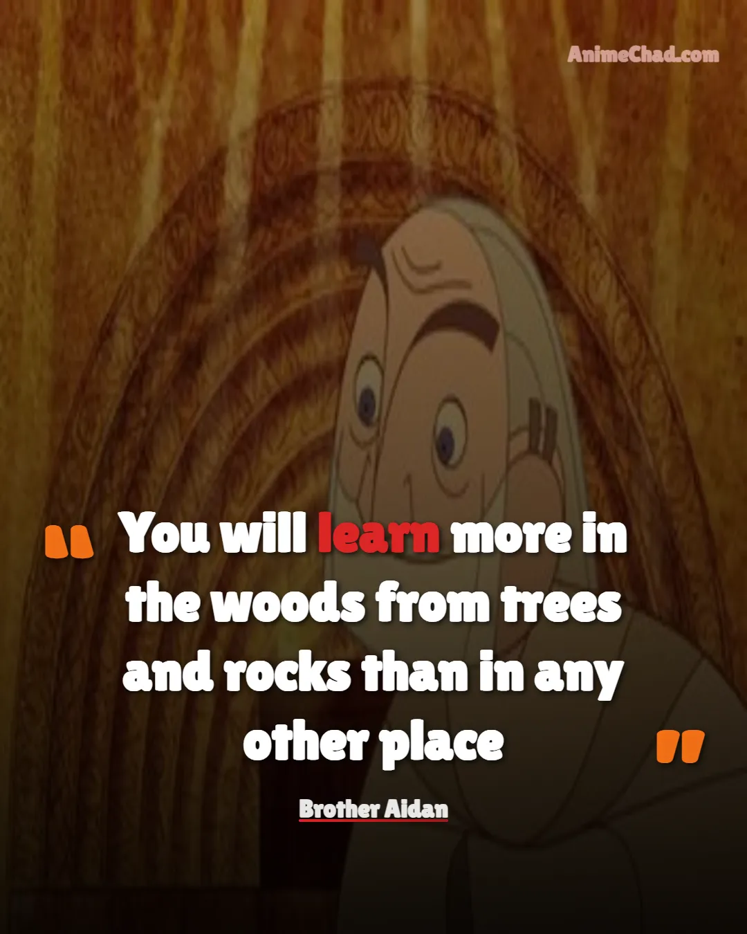 Brother Aidan Quotes (1)