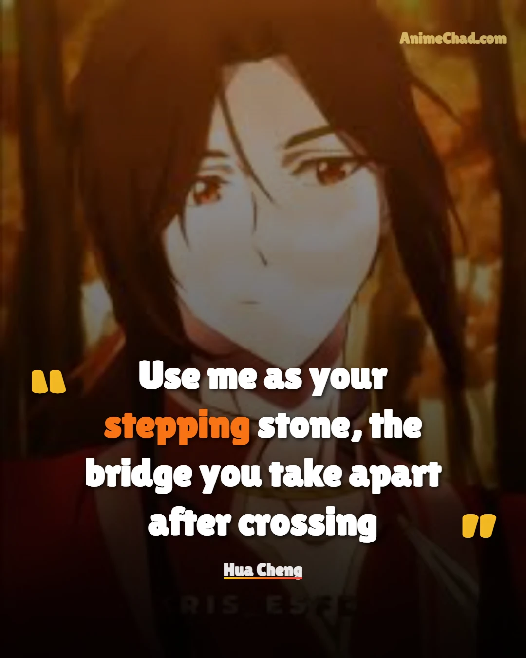 Hua Cheng Quotes (14)