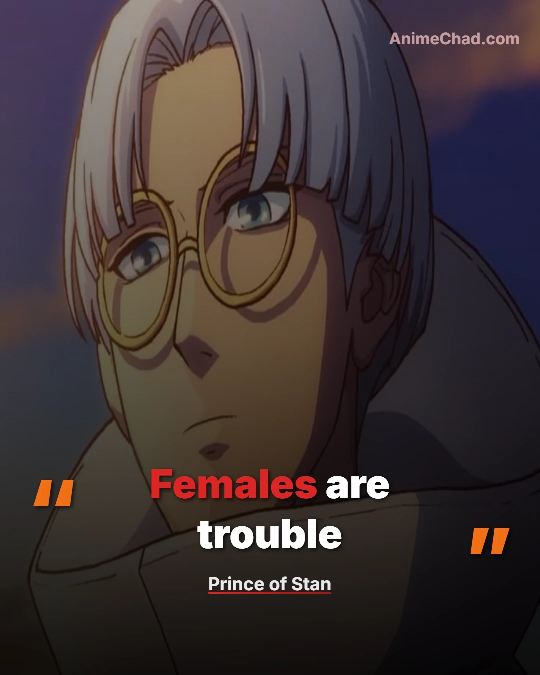 Prince Of Stan Quotes