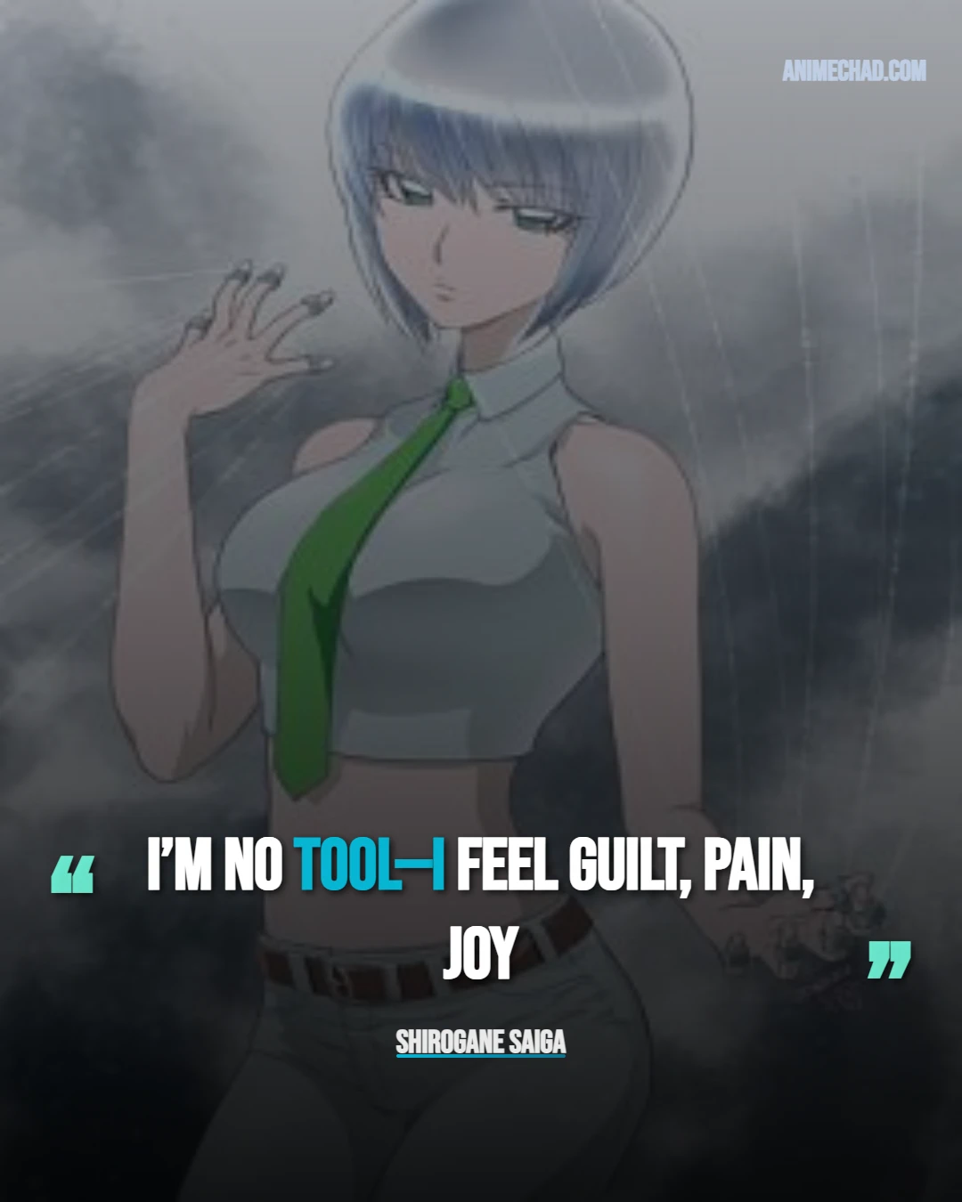 Shirogane Saiga Quotes (3)