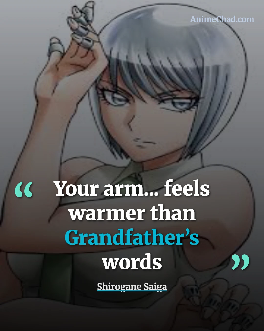 Shirogane Saiga Quotes