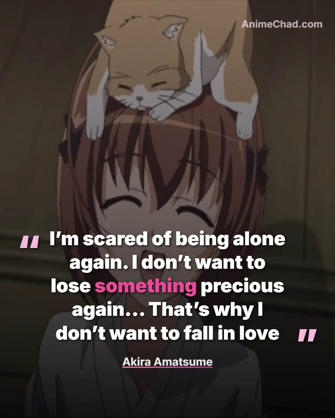 Akira Amatsume Quotes