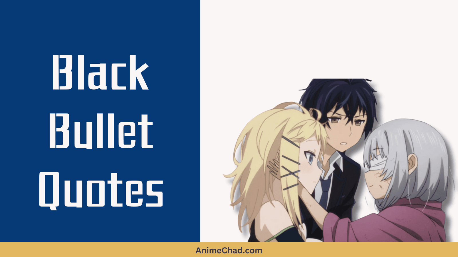 Black Bullet Quotes