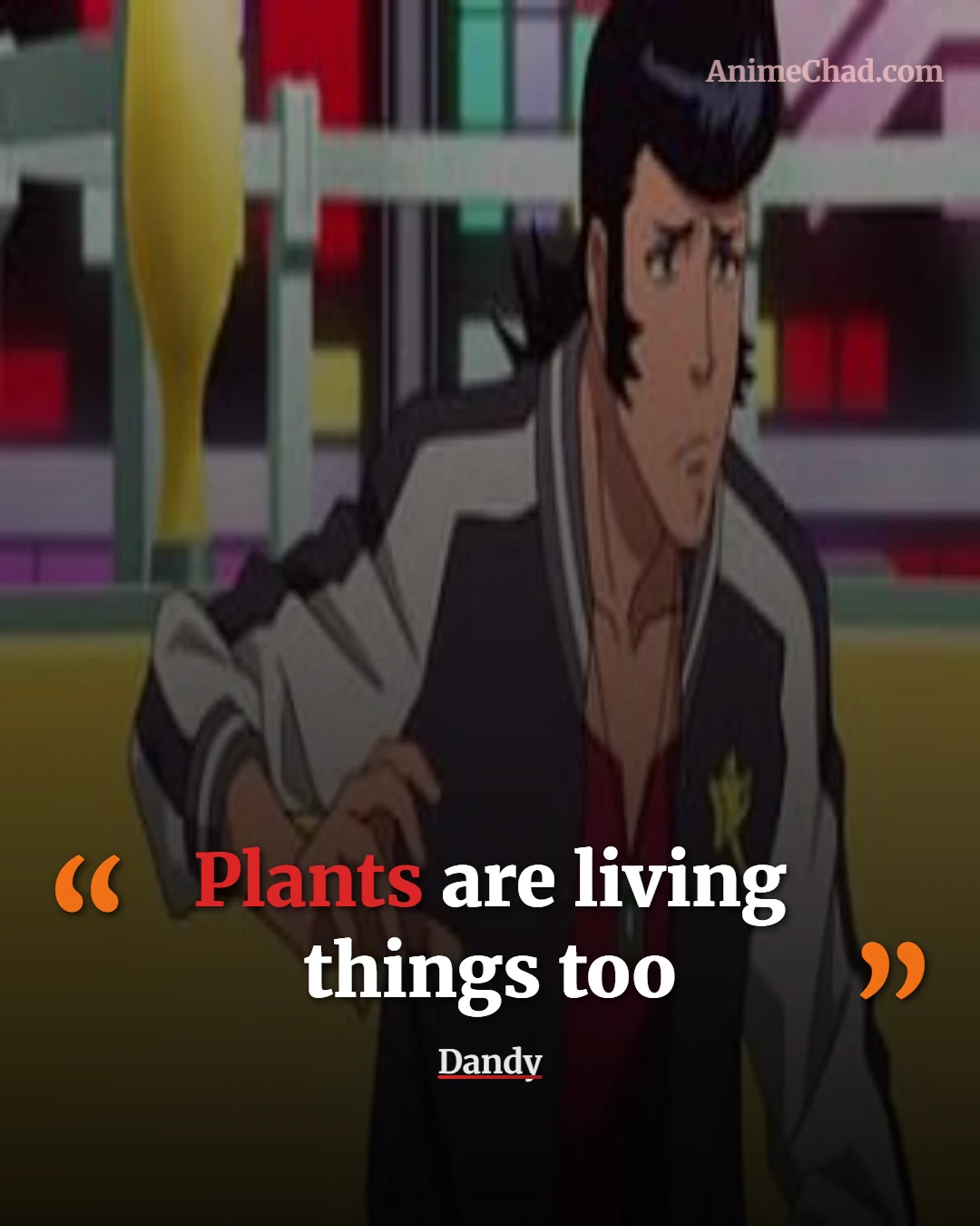 Dandy Quotes (12)