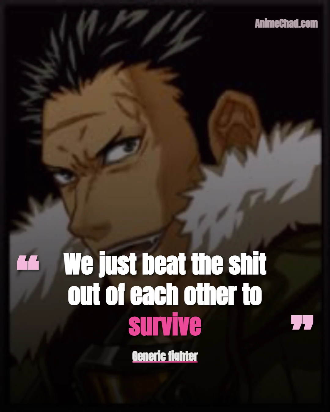 Generic Fighter Quotes