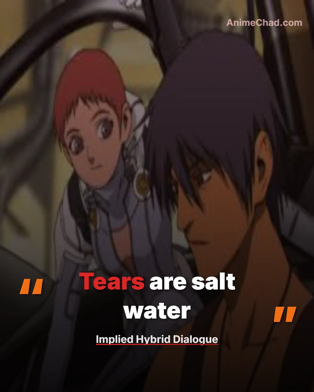 Implied Hybrid Dialogue Quotes