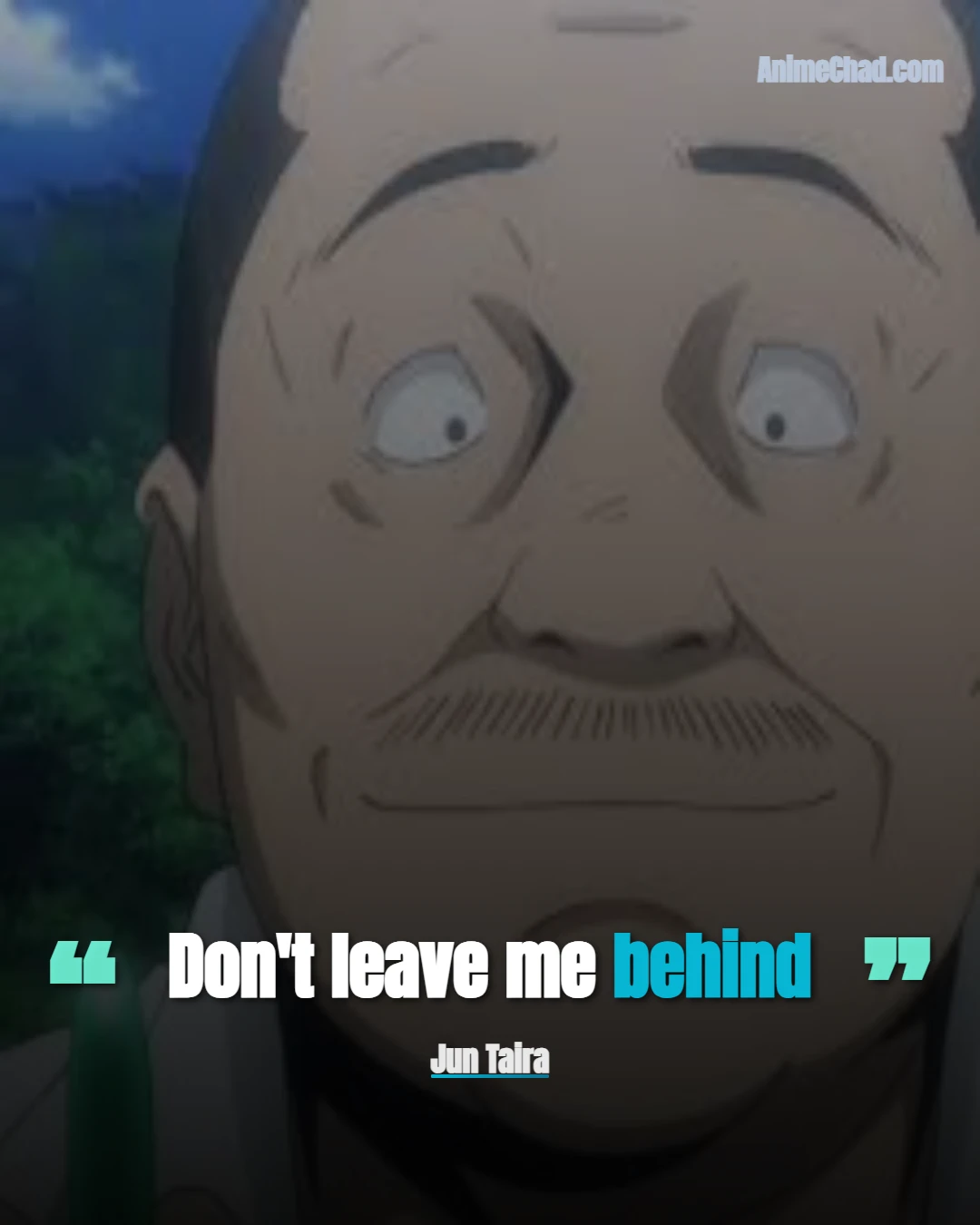 Jun Taira Quotes (1)