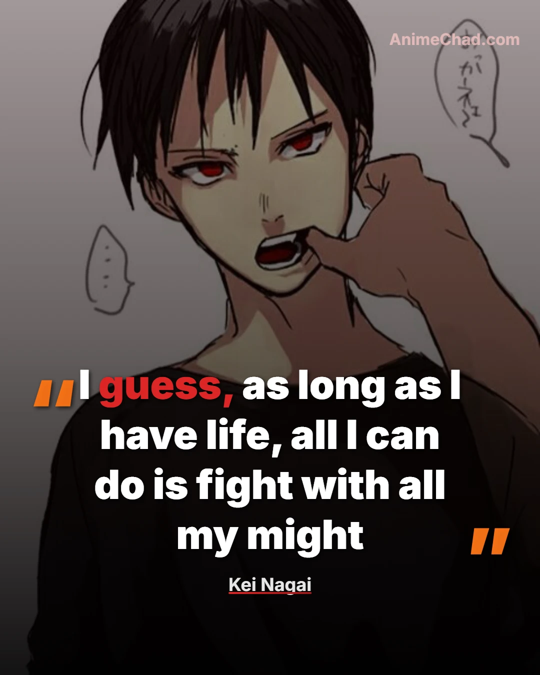 Kei Nagai Quotes (4)