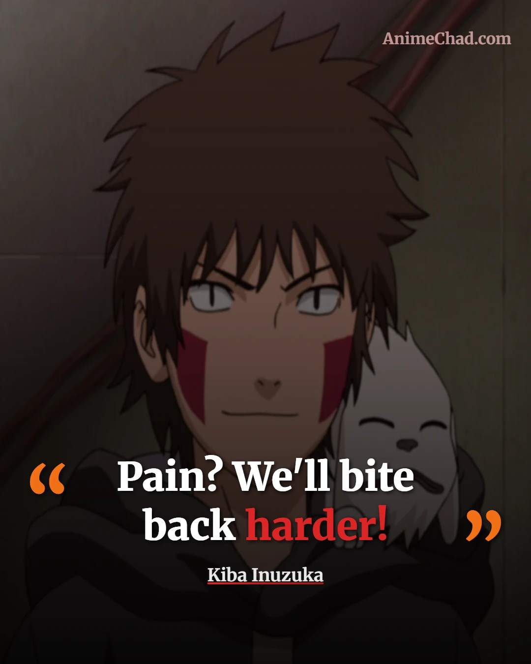 Kiba Inuzuka Quotes (17)