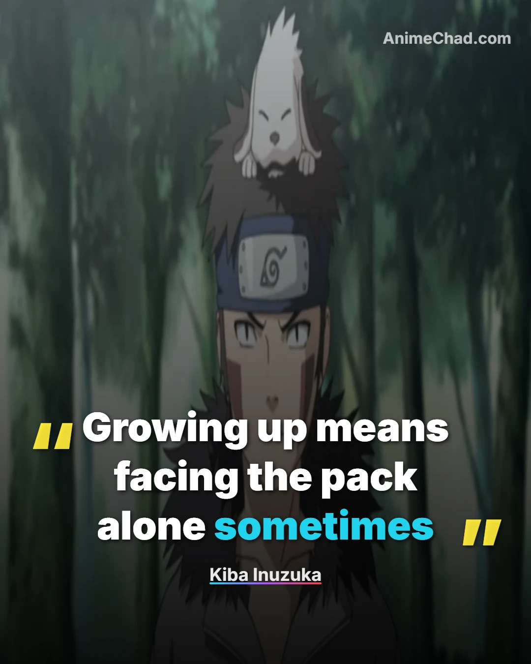 Kiba Inuzuka Quotes (18)