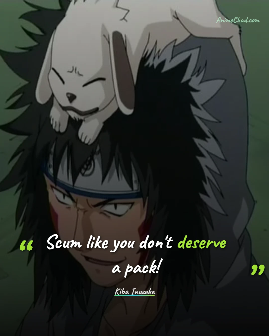 Kiba Inuzuka Quotes (20)
