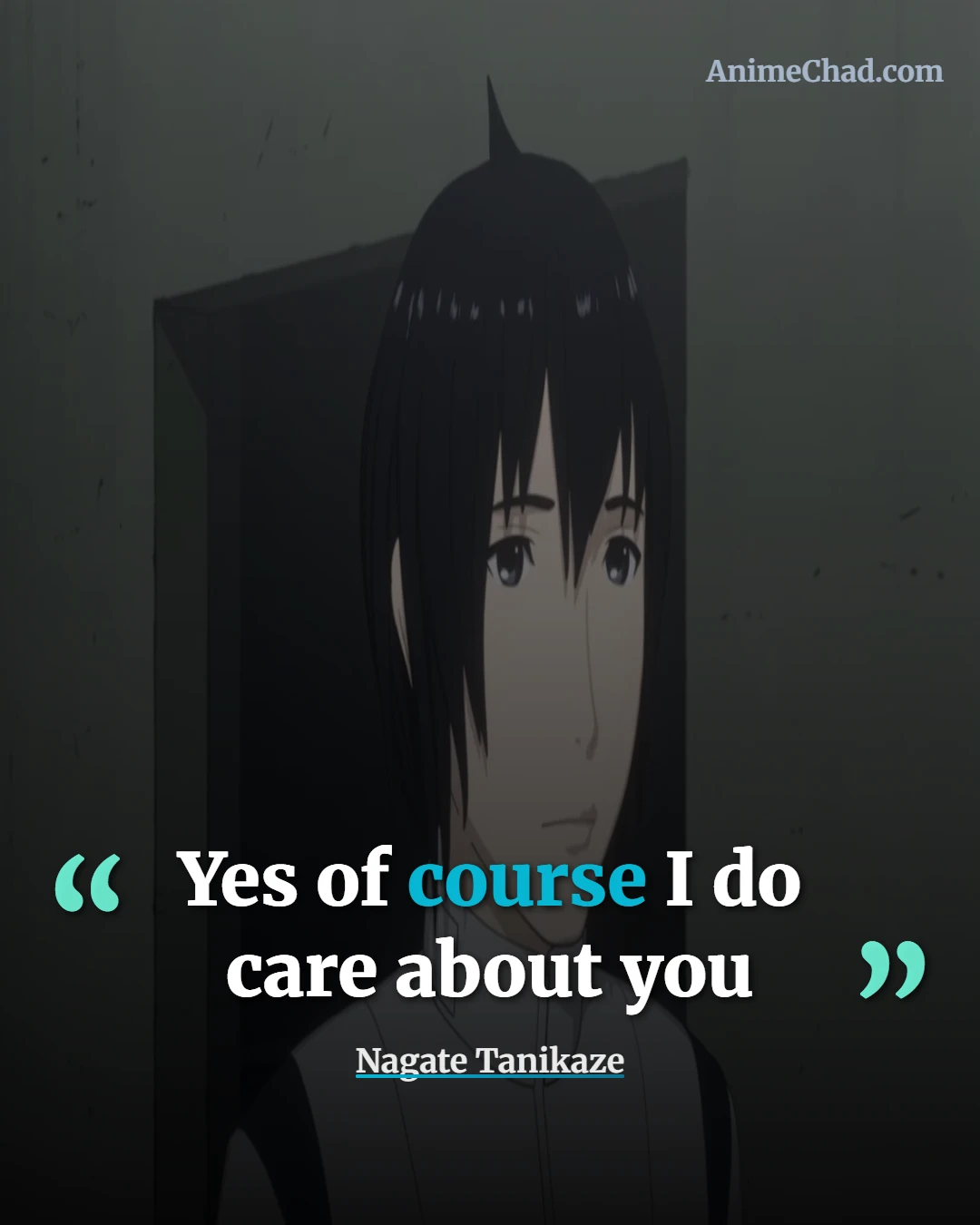 Nagate Tanikaze Quotes (1)