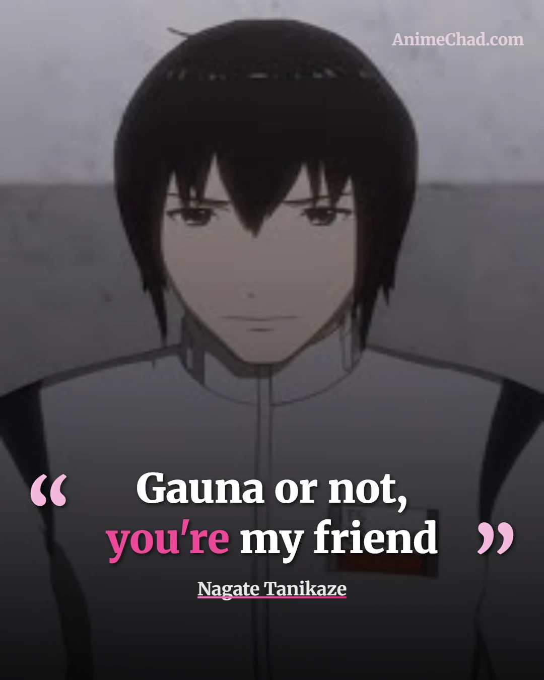 Nagate Tanikaze Quotes (3)