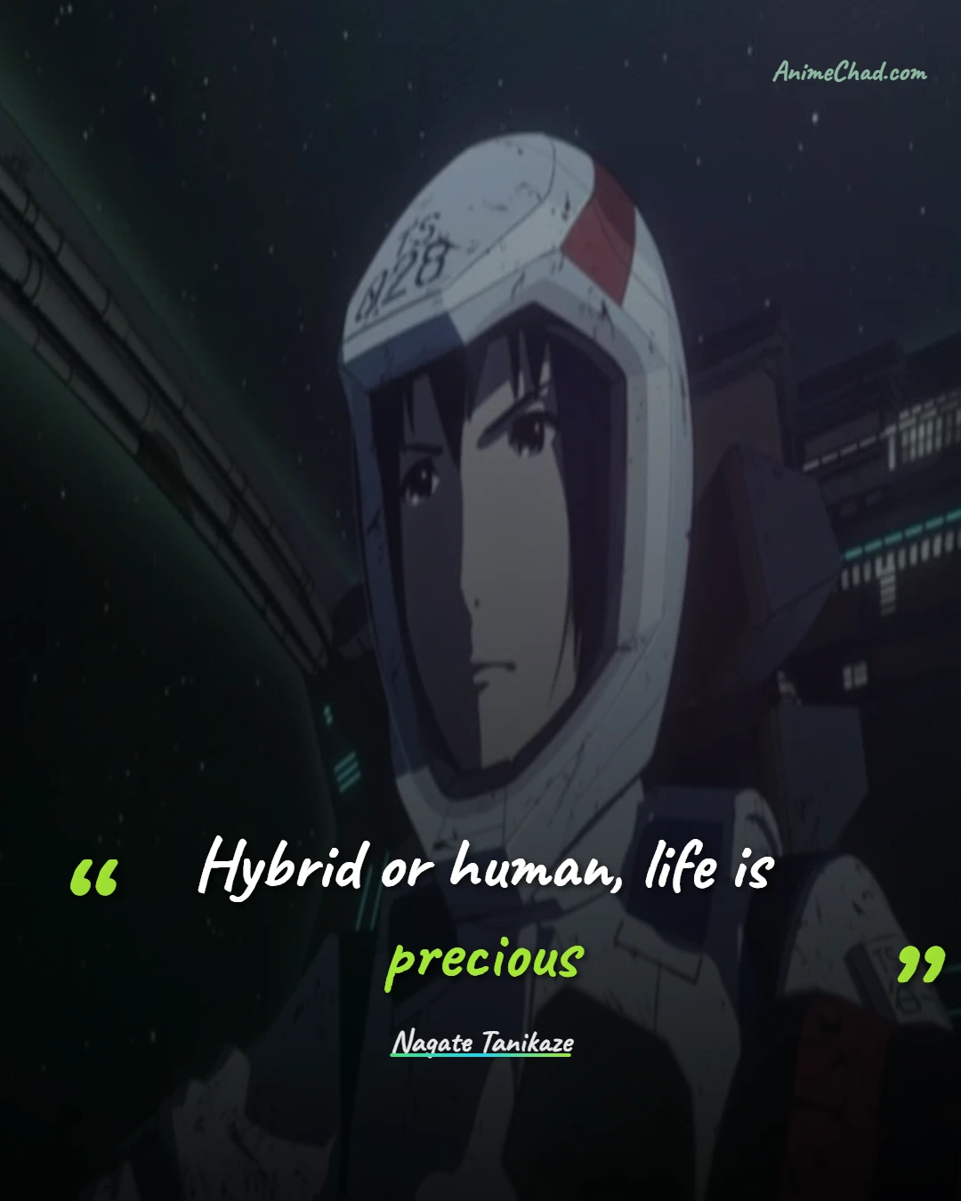 Nagate Tanikaze Quotes (5)