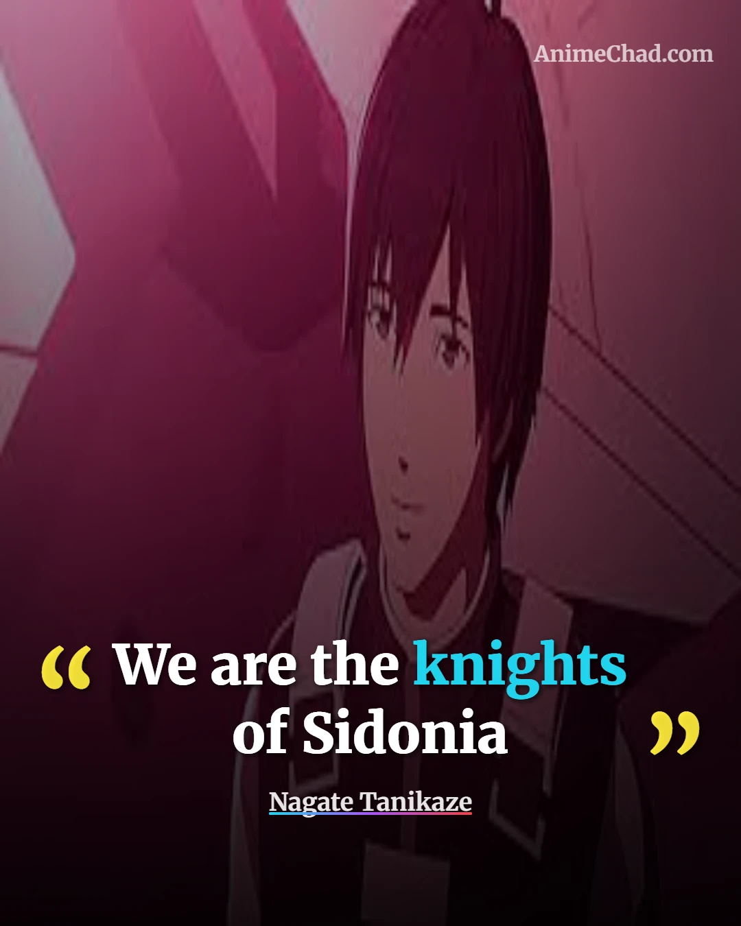 Nagate Tanikaze Quotes (6)