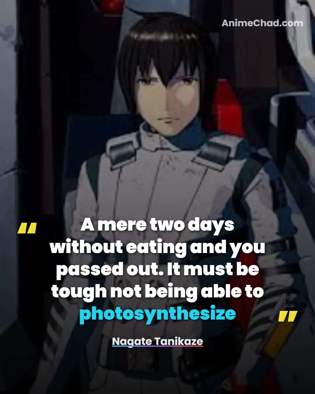 Nagate Tanikaze Quotes